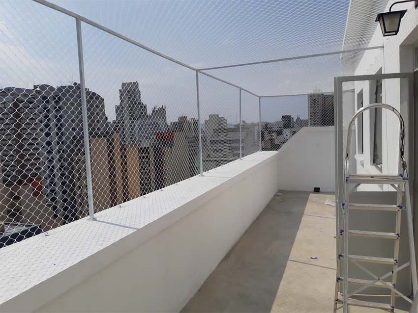 Como Escolher A Melhor Rede Para Gatos