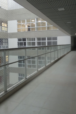 Proteção Para Gatos e Crianças Em Varandas Com Vista Para Piscina