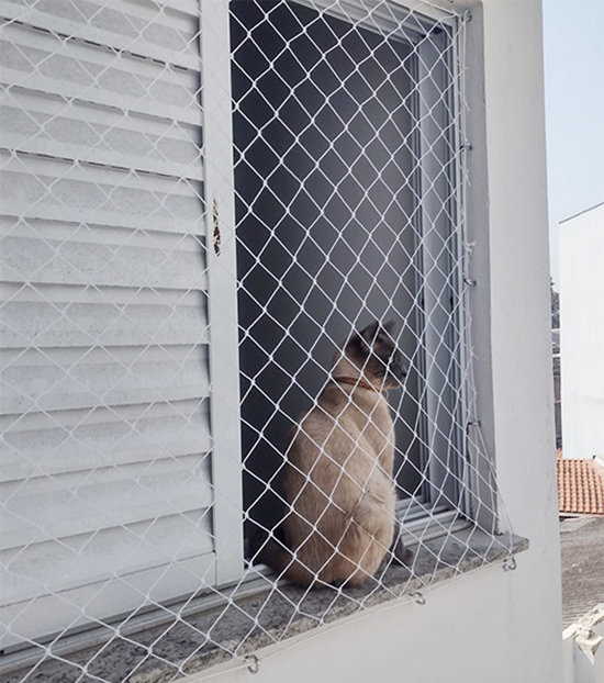 Rede de proteção para gatos preço