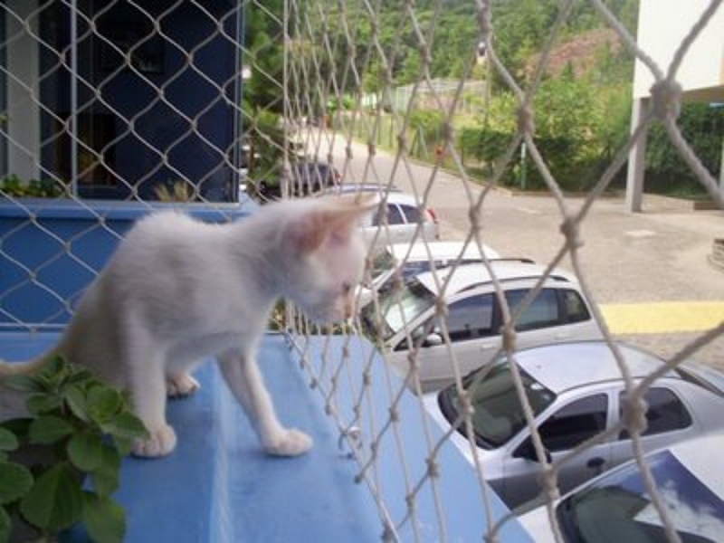 Redes de Proteção para Gatos Com Fácil Instalação
