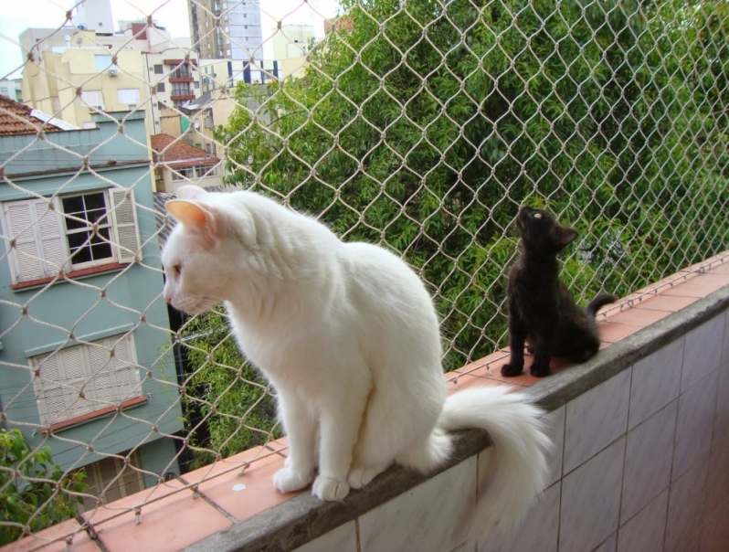 Redes de Proteção para Gatos em Carapicuiba SP