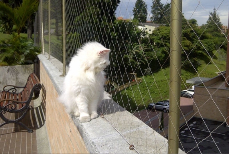 Redes de Proteção para Gatos