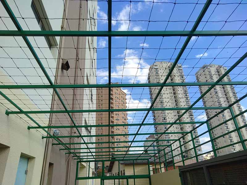 Telas de Proteção Para Gatos Em Varandas Com Brisa Fresca