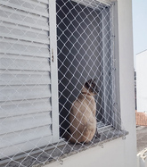 Rede de Proteção para Gatos Preço